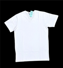 Load image into Gallery viewer, Men&#39;s Premium V.Neck Plain T-Shirt